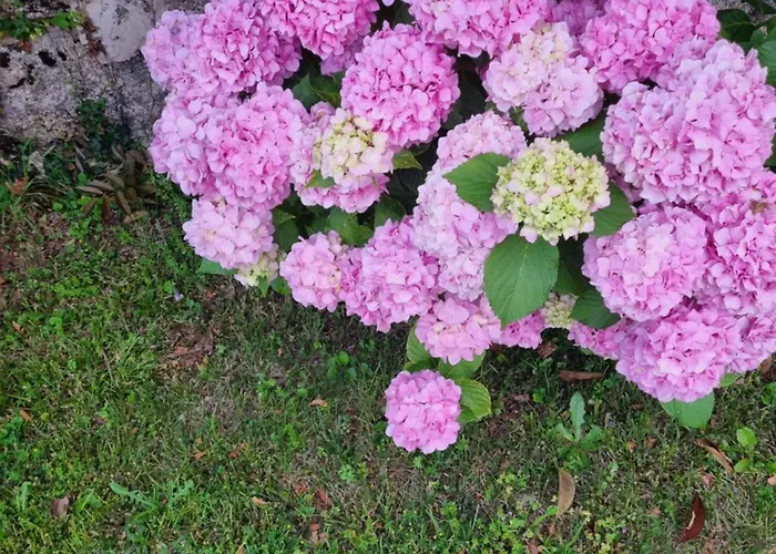 Da Artu' Σπίτι διακοπών Ούντινε